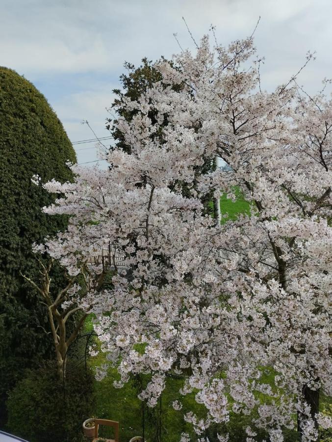 B&B La Quercia Di Mery La Villa  외부 사진